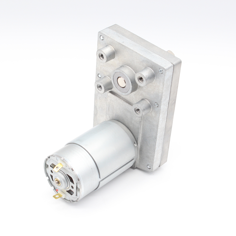DC Parallel Gear Motor（RS555-PAG6095）